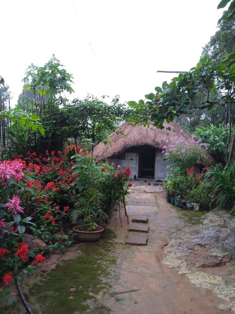 Meikha Homestay Pynursla Экстерьер фото